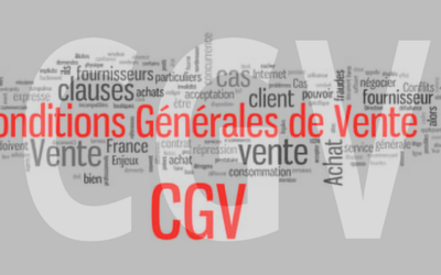 Pourquoi et comment rédiger des CGV pour la création de sites internet ?